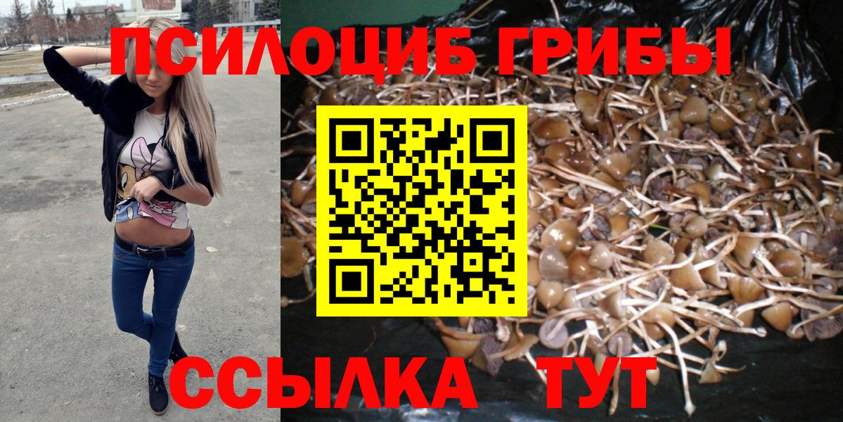 Камышин  Галлюциногенные грибы ЛСД  Вход с VPN  Псилоцибиновые грибы GOLDEN TEACHER 