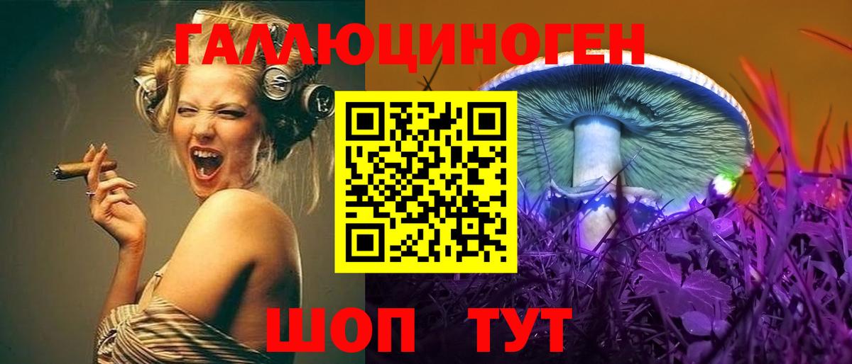 Псилоцибиновые грибы MAGIC MUSHROOMS Камышин